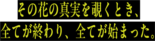 その花の真実を覗くとき、全てが終わり、全てが始まった。